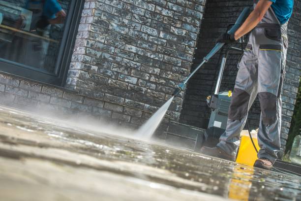 Best Brick and Stone Cleaning in Scotland Neck, NC