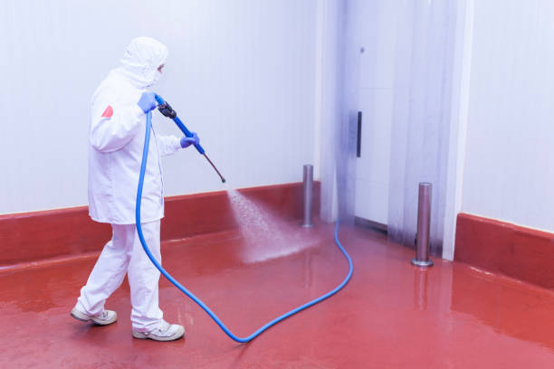 Best Driveway Cleaning and Restoration in Scotland Neck, NC