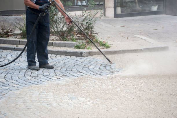  Scotland Neck, NC Pressure Washing Pros