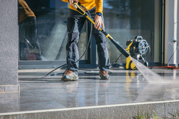 Best Vinyl Siding Pressure Washing in Scotland Neck, NC
