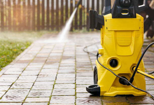 Best Roof Cleaning and Mildew Removal in Scotland Neck, NC